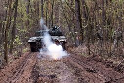 Будет ли заключен мир в Украине